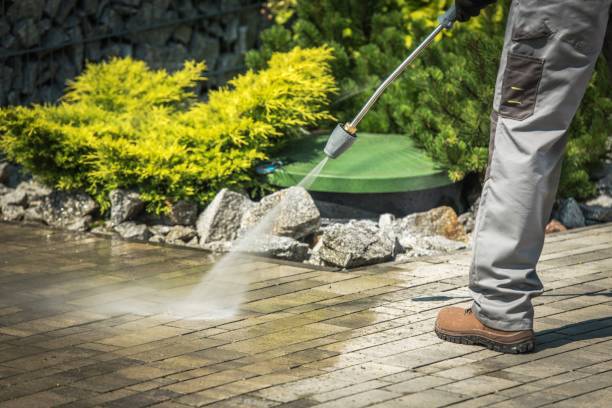 Best Boat and Dock Cleaning  in Greenlawn, NY